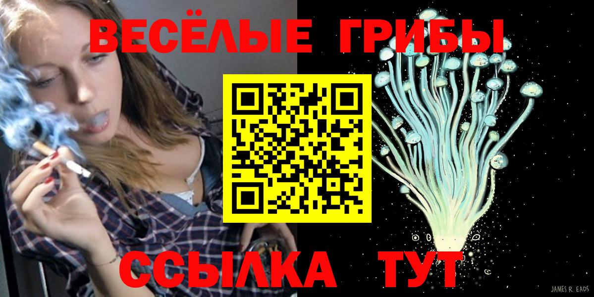 Псилоцибиновые грибы Cubensis Черкесск