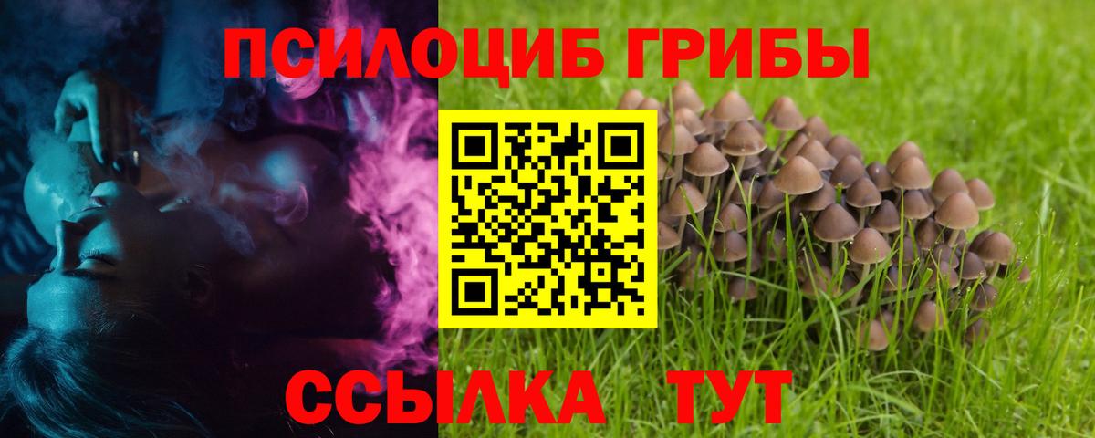 Псилоцибиновые грибы мицелий  Вход с VPN  как найти наркотики  Черкесск 